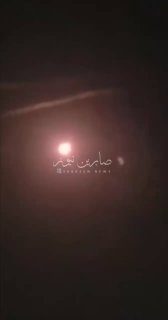 ספיר ליפקין