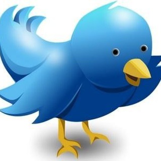 twitter_media_bot Telegram Group Link