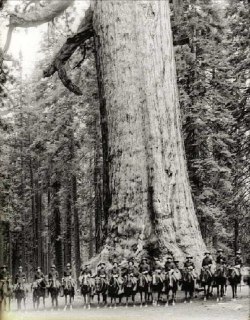 U.S. cavalry soldiers pose in front of a sequoia in Yosemite known as "Grizzly G...