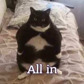 В Сочи прошел первый в мире турнир по пельменному покеру: https://lentach.media/RJ4ip