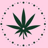 CANNA TIME™