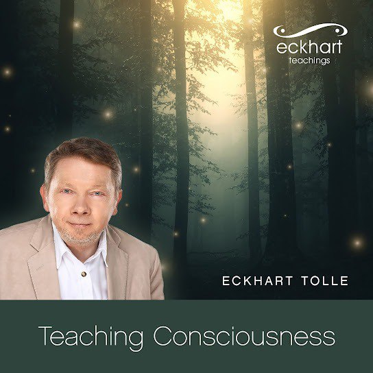 It is better not to discuss the presence in the group. without frequency saver. Otherwise, you can fight and start arguing fiercely. Eckhart on how to talk about mindfulness in a group:...it can easily happen that after a few minutes people are completely drawn back into their own minds and mental attitudes, and they even begin to argue passionately about what "presence" really is. That's why I wanted to discourage it. Of course people have a need to discuss. It is the brain's need to speak. But usually it doesn't help. If there is at least one person in the group (maybe it's you) who can act as a holder of the presence frequency in the room, it can prevent the group from descending into total mental activity. So a certain level of presence is maintained, within which this conversation is possible. from lectures