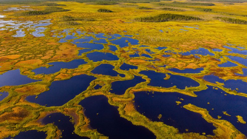 Finland's living peatlandAerial view of peatland in Martimoaapa Mire Reserve, Finland (© romikatarina/Shutterstock)