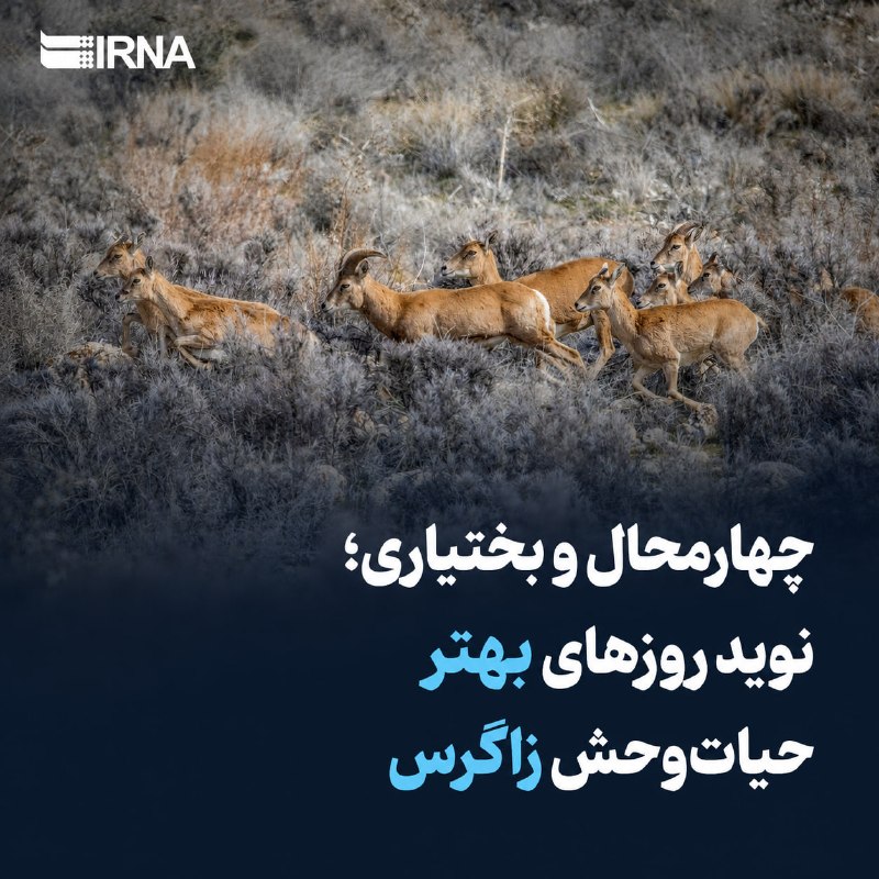 חרמחל ובכתיארי; ההבטחה לימים טובים יותר עבור חיות הבר של זגרוס