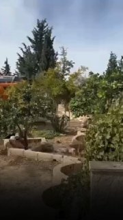 עיריית ישראל אילצה את יזם אלמקדסי ג'יהאד להרוס את ביתו, המורכב משתי דירות מגורים השייכות לו ולבנו, בשכונת א…