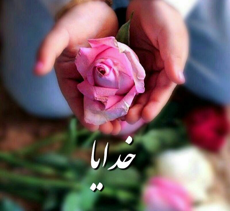 ☀️•.¸ثــــامــــن الــــائــــــمــه ¸.•☀️: خدایا 🙏 پایان ماه صفر پایان تمام مشکلاتپایان تمام سختی ها وپایان تمام غم ها وغصه های عالم ودوستانم باشد🙏آمیـــن یا رَبَّ