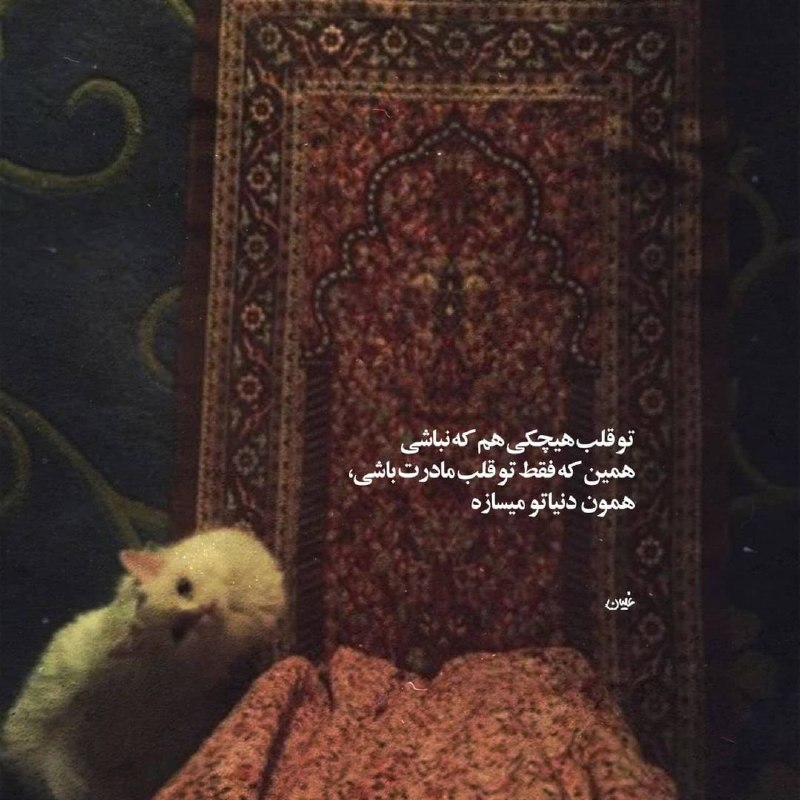 Profile Special: رسانه پست