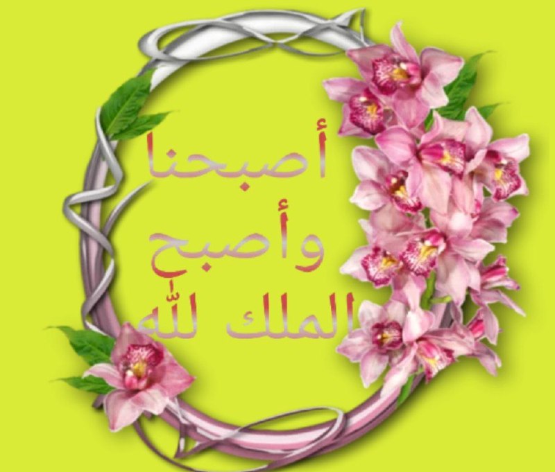 جمع ایمانی: 🍃🌸🍃🌸🍃🌸🍃🌸🍃https://t.me/Jame-Imani