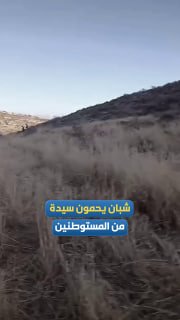 "על הגופות שלנו, הנשמה שלי, הדודה שלי, ולא אכפת לך."