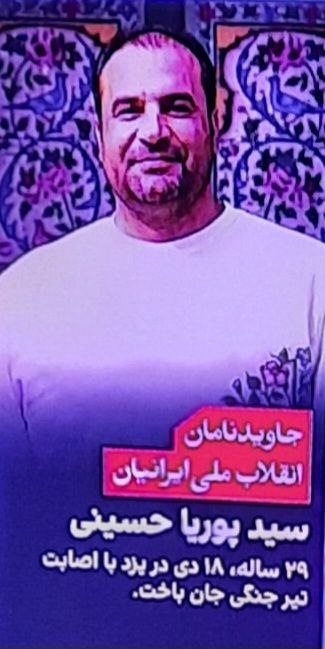 تنها صداست که می ماند: فرزند ایران و جانفدای میهن #جاویدنام#سید_پوریا_حسینی#انقلاب_ملی_شیروخورشید@SedaLink