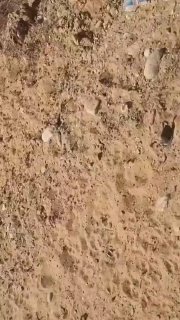 צו 9 ופורום עוטף ישראל עם תיעוד מכרם שלום שחושף: כוחות ראשונים של ה-ISF והכוחות הבינלאומיים הגיעו לסיורים מ…