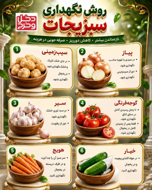 خراسان آنلاین: 🔸روش نگهداری سبزیجات (تازه ماندن بیشتر- کاهش دورریز - صرفه جویی در هزینه) #خراسان_قیمتآخرین قیمت ها و اخبار بازار 👇@dakh