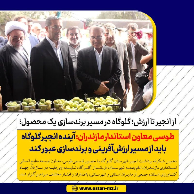 استانداری مازندران: 🔺از انجیر تا ارزش؛ گلوگاه در مسیر برندسازی یک محصول؛طوسی معاون استاندار مازندران: آینده انجیر گلوگاه باید از مسیر ارزش‌آ