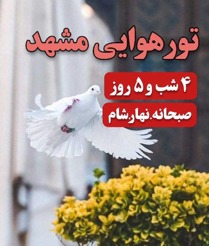 توروبلیط ارزان(چارتر220: ✈️ تور مشهد هوایی از تهران 26 مرداد ✈️⭐️ 4 شب و 5 روز ⭐️💫 لیانا : 24.500💫 پرستاره : 28.000💫 انقلاب : 28.500—————————————