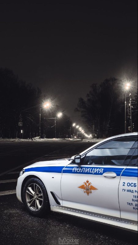 МВД хочет установить «лежачие полицейские» для самокатчиков 1