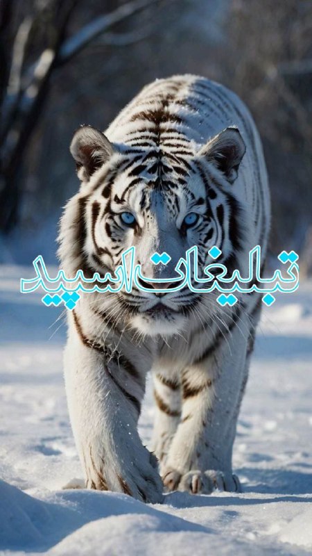 گروه دوستیابی و دخترونه زاهدان: ❶﹚ نام : 亗ᵀᴴᴱ 𝕻𝖚𝖗𝖕𝖑𝖊💜𝕹𝖎𝖌𝖍𝖙𝖘ཧོ❷﹚ نو؏ تبلیغات : #telegram❸﹚ توضیحات :⚜️خوش اومـבین ⚜️💜1ـر؋ـتن بـہ پیوے اعضا بـבوט اجازـہ م