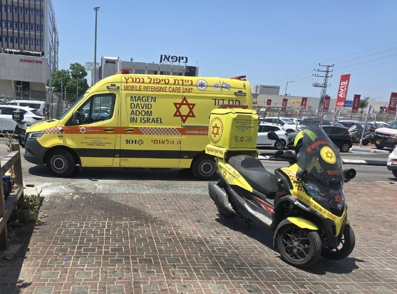 יולן כהן