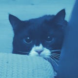 @ 𝗂𝗇𝖿 .