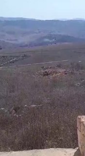Artillery bombardment aimed at Kunin grove
