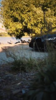 BMW M4 G82