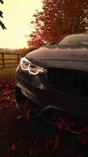 https://t.me/bmw_mpower_club