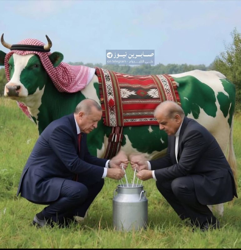 קריאה מדוקדקת של ההשלכות של מה שנקרא הסכם מכה 🤣