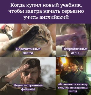 У каждого из нас есть свой багаж неудачных попыток выучить язык. Заброшенные приложения, купленные и не пройденные курсы, пылящиеся учебники. Это нормально, не ругайте себя за это. Просто попробуйте начать заново, но уже с преподавателем, который станет ва