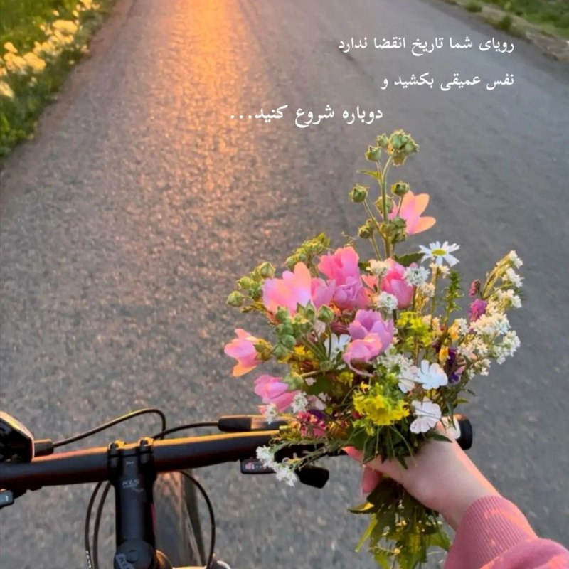 ‹پُرتقالخونی🍊›: ≼ رؤیای شما تاریخ انقضا نداردنفس عمیقی بکشیدو دوباره شروع کنید🍀🪻≽