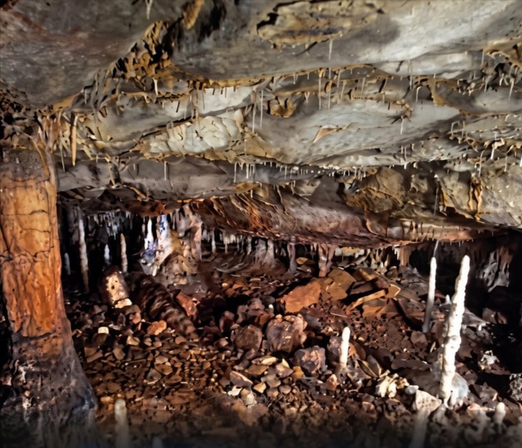 A massive rockfall sealed a Stone Age dwelling 17,000 years ago.