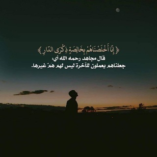 Telegram profile photo for اناشيد ابو هاجر الحضرمي