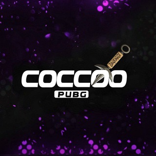COCCOO AKKAUNT SAVDO Telegram Group Link