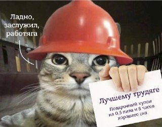 Сегодня отмечают Всероссийский день трудягиНеофициальный и ироничный праздник придуман для людей, живущих на работе, засыпающих с мыслями о задачах и не выключающих уведомления даже в отпуске.Поздравь того самого
