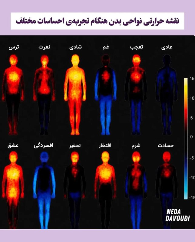 آچار فرانسه: نقشه‌ی حرارتی نواحی مختلف بدن در هنگام تجربه کردن احساس های مختلف به نقشه‌ی حرارتی افسردگی و غم دقت کنید ، بدن دچار فقر 