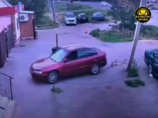 В Казахстане кошка угнала машину и врезалась в стенуПушистик забрался в салон через открытое окно и каким-то образом запустила двигатель. Далеко уехать не получилось: автомобиль почти сразу врезался в стену. После столкновения испугалась и убежала.