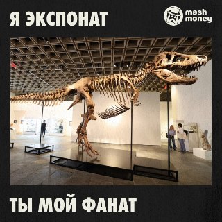 Скелет тираннозавра Гас продан на торгах Sotheby’s за $50,1 млн (3,9 млрд рублей). Это рекорд среди динозавров за всю историю аукционов.Стартовая цена была $19 млн, но прайс на скелет зверюги взлетел до полтинника за десять минут во время борьбы между неск
