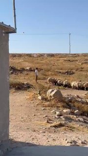 כמו כל יום..