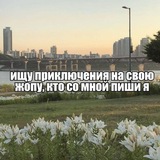 ^【 𝐑𝐀𝐂𝐄𝐑 】^