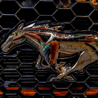 Car Fans Telegram Group Link