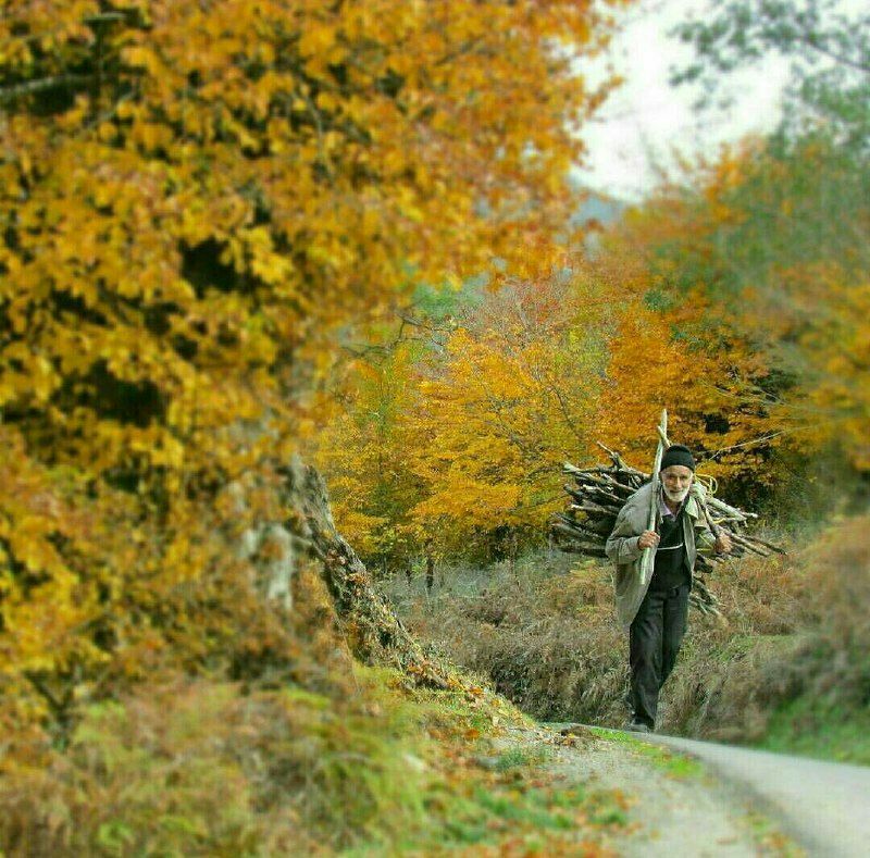 رنگت روخدااااایی کن: ✨﷽✨✨ #پندانـــــــهـــهرگز اجازه نده که دنیا این پنجچیز را از تو بگیرد:لحظه ناب مناجات با خدانیکی به والدینمحبت به خانوا