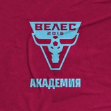 Академия «Велес»