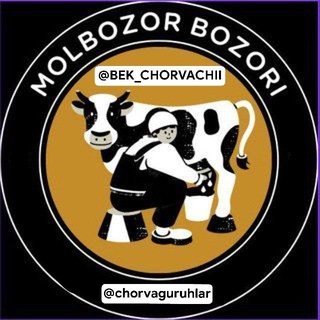 Telegram profile photo for Namangan chorva molbozori qo'ylar