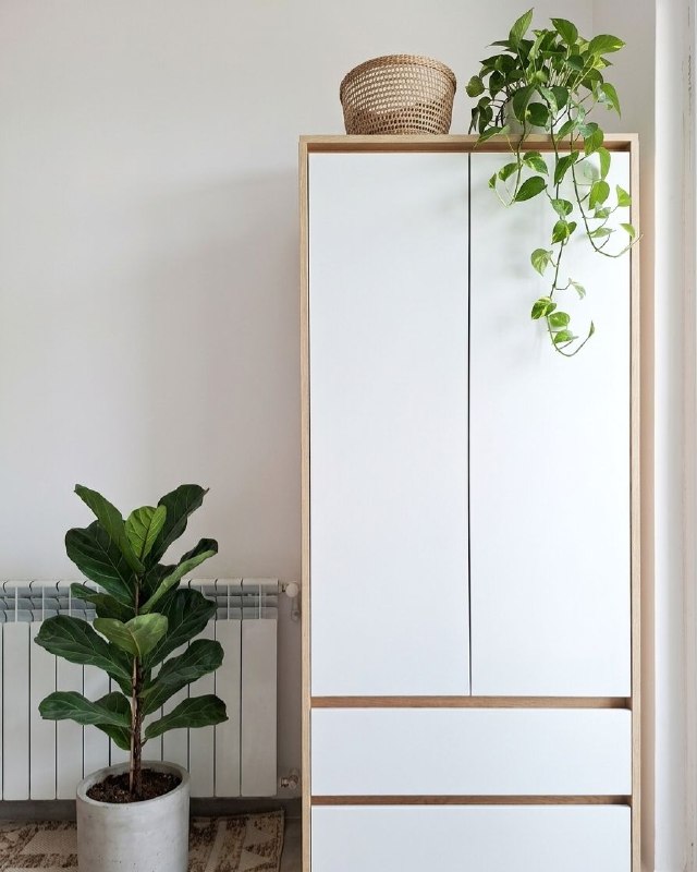 Новый шкаф,неделю назад купили в Юск,не угадали с размером. 450Gel — фото 1