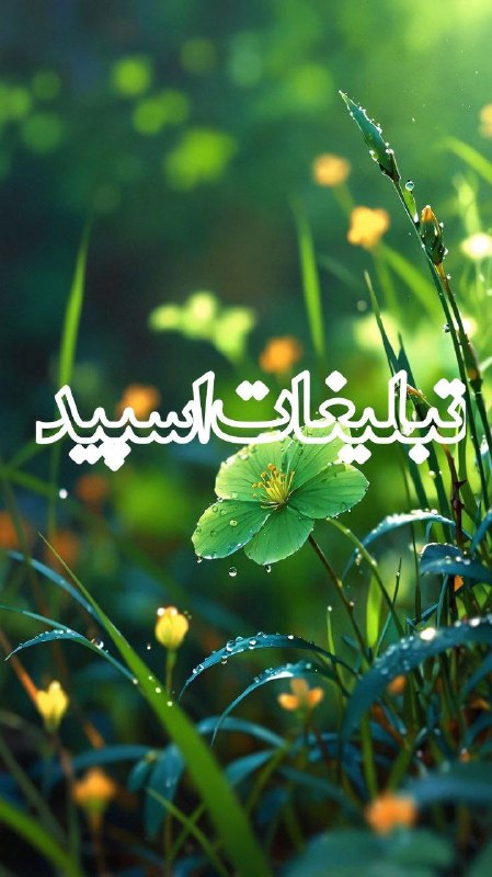 کانال لینکدونی تلگرام | لینکدونی گروه | لینکدونی اصلی | بزرگترین لینکدونی | لینکدونی رایگان: ❶﹚ نام : ♥⊱╮ღ꧁ کوی مهربانی تهران_کرج ꧂ღ╭⊱♥❷﹚ نو؏ تبلیغات : #telegram❸﹚ توضیحات :سلام بچه ها جمع شدیم واسه ساختن ی حال خو