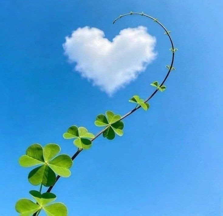 پل ارتباطی💕💗: حس ها چون ابرهای آسمانندمی آیند و می روندتنفس آگاهانه لنگر من است......☘❣🌸