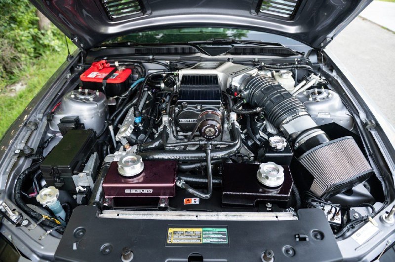 Ford Mustang Shelby GT500 Super Snake Coupe 8