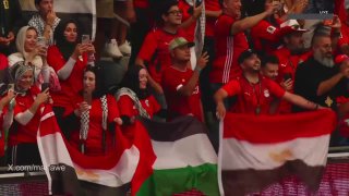 דגל פלסטין הונף בטקסס בחגיגות ניצחון מצרים במונדיאל