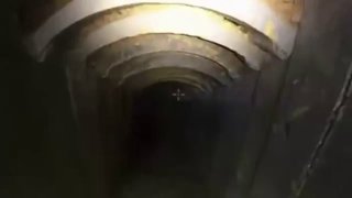 צה"ל: שתי מנהרות נוספות של עזה אטומות.