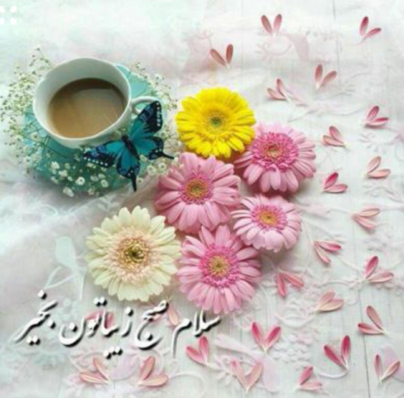عرفان: سلام بر همه خوبانصبحتون به خیرقلبتان مملو از عشقزندگیتان سرشار از نیکی...@erfanchanell
