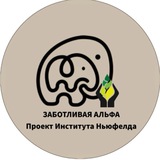 «Заботливая Альфа» - проект поддержки родителей от Института Ньюфелда