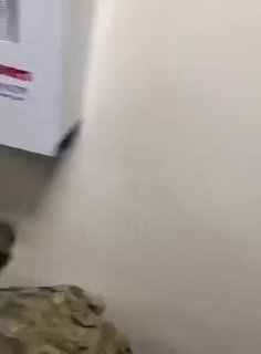 חייל אמריקאי מתעד את הרגע שבו נשמעו הסירנות בתוך בסיס מופאק סלטי בירדן, בזמן שחיילים מיהרו למקלטים במהלך מת…
